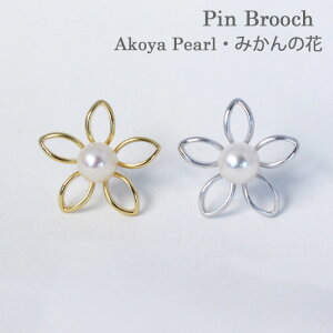 su[` ݂̉ ^ Fa^ ԃu[` u[` AR^ p[ p[u[` 킢 j  Q ݂ QSݓX