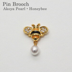 su[` ~co` ^ Fa^ AR^ ݂΂u[` ͂ n` Akoya