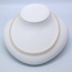 xr[p[lbNX 4.5mm zCgsN ^ ^