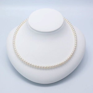 xr[p[lbNX 4.5mm zCgsN ^ ^ zCgS[h K18WG