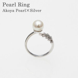 p[O ^̎w ^ 7mm t[TCY 8 9 10 11 12 Vo[ Fa^ AR^