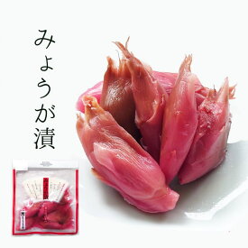 みょうが漬 LP / 漬物 京漬物 お漬物 京漬け物 漬け物 贈答 ご飯のお供 柴漬 しば漬け 京都 創業125年 老舗 母の日 健康 ヘルシー メッセージカード