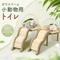 楽天市場】ハムスター 砂遊び 容器の通販
