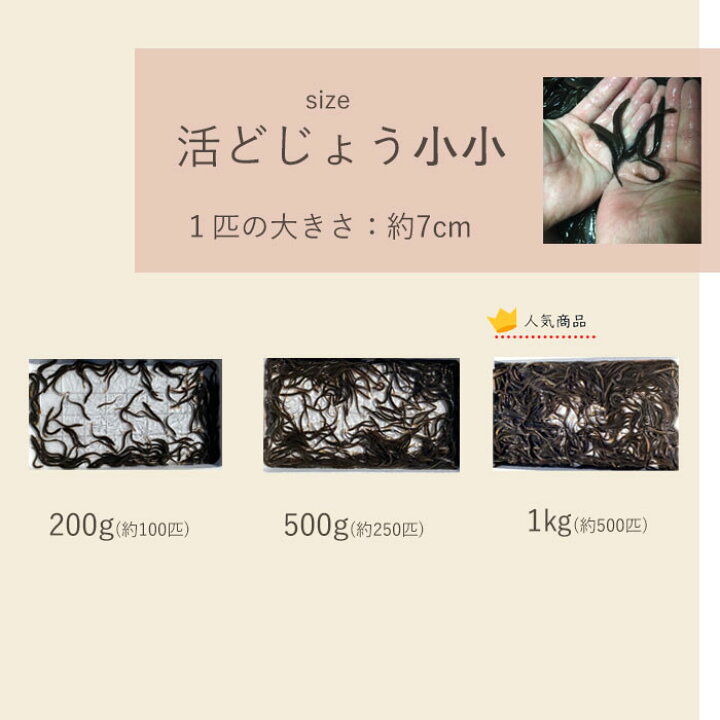 楽天市場】【レビューを書いて増量キャンペーン】食用 どじょう 1kg 小【約10cm 約240匹】活 どじょう 生体 ドジョウ 柳川 鍋 ドジョウ 唐揚げ 料理用:どじょ の大河 ドジョウ 蒲焼 新鮮 ドジョウ : どじょうの大河 楽天市場店 楽天市場】【レビューを書いて増量キャンペーン】食用 どじょう 1kg 小【約10cm 約240匹】活 どじょう 生体 ドジョウ 柳川 鍋 ドジョウ 唐揚げ 料理用:どじょ の大河 ドジョウ 蒲焼 新鮮 ドジョウ : どじょうの大河 楽天市場店