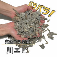 【レビューを書いてプレゼント！】真空 バラ 冷凍 川エビ 500g かわえび エサ 熱帯魚 古代魚 餌 冷凍エサ…