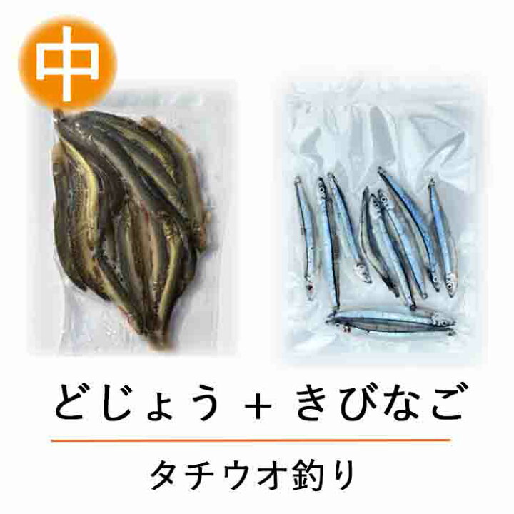 楽天市場】【タチウオ 釣り テンヤ 釣り 餌 ！】冷凍 どじょう (中 