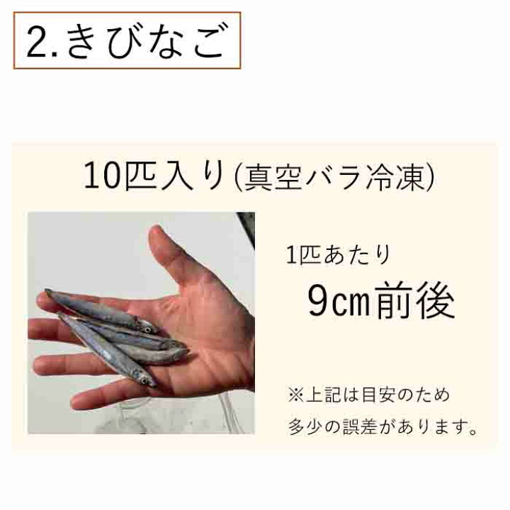 楽天市場 タチウオ 釣り テンヤ 釣り 餌 冷凍 どじょう 中大 100ｇ 5パックと 冷凍 きびなご 10匹 5パック 合計10パックの 釣り セット 太刀魚 の テンヤ 釣り に最適な 釣り エサ がそろう つり 餌 最強セット どじょうの大河 楽天市場店
