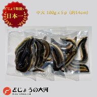 【タチウオ 釣り 関西地域特別仕様】冷凍どじょう 100g×5パック 中大サイズ ドジョウ エサ どじょう 冷…