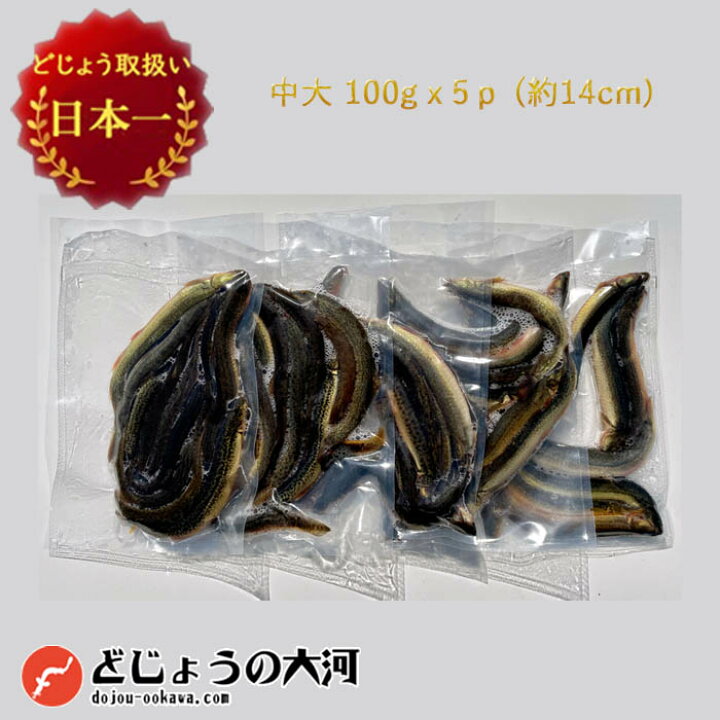 楽天市場 タチウオ 釣り 関西地域特別仕様 冷凍どじょう 100g 5パック 中大サイズ ドジョウ エサ どじょう 冷凍 太刀魚 テンヤ 釣り えさ 餌 に どじょう どじょうの大河 ドジョウ タチウオテンヤ つり 餌 どじょうの大河 楽天市場店
