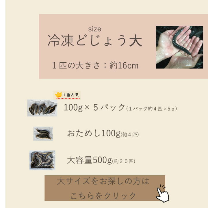 楽天市場 ドジョウ お試しパック 冷凍 どじょう 500g 大 約16cm 約匹 エサ どじょう 冷凍 エサ 釣り えさ 熱帯魚 古代魚 餌 に どじょう どじょうの大河 ドジョウ つり 餌 どじょうの大河 楽天市場店