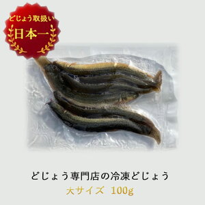 Ⓚ GT ǂ傤 100g y16cm 4Czǂ傤 Ⓚ GT ނ  Mы Ñ㋛ a ǂ傤 Fǂ傤̑ hWE  a