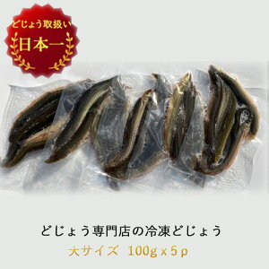 yr[ăv[gIzⓀ GT ǂ傤 100g×5pbN y16cm 4C×5Pzǂ傤 Ⓚ GT ނ  Mы Ñ㋛ a ǂ傤Fǂ傤̑ hWE  a