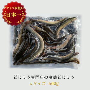 【どじょう日本一】 冷凍 エサ どじょう 500g 大【約16cm 約20匹】どじょう 冷凍 エサ 釣り えさ 熱帯魚 古代魚 餌 どじょう:どじょうの大河 ドジョウ つり 餌