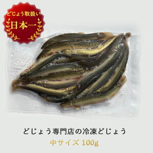 Ⓚ GT ǂ傤 100g y13cm 12Czǂ傤 Ⓚ GT ނ  Mы Ñ㋛ a ǂ傤F傤̑ hWE  a
