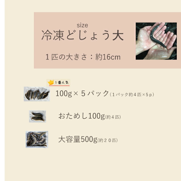 738円 大人気定番商品 活 どじょう 500g 中 食用 生体 ドジョウ 柳川 鍋 唐揚げ 料理用 蒲焼 738円 大人気定番商品 活 どじょう 500g 中 食用 生体 ドジョウ 柳川 鍋 唐揚げ 料理用 蒲焼