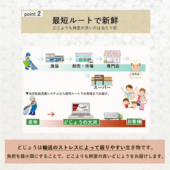 738円 無料長期保証 どじょう日本一 活 どじょう 500g 小 約10cm 約125