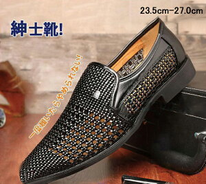 bVV[Y Y rWlXV[Y U[ PU  ʋCQ SnQ 芴 JWA AEghA RtH[g t ̓