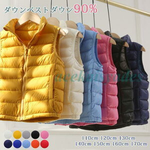 xXg LbY _ExXg q j̎q ̎q LgxXg  OJ vg `bL W 