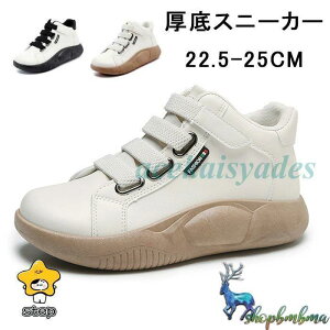 fB[X V[Y O Xj[J[ Xj[J[ fB[X Xb|  RtH[gV[Y  C nCJbgXj[J[