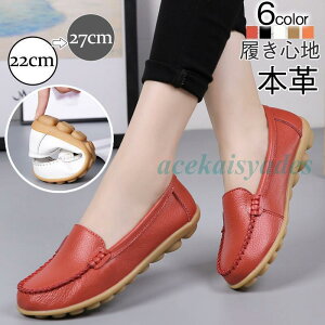 [t@[ fB[X tbgV[Y V[Y {v JV C ʋ ɂ JWA Vv t H ItBX Mtg