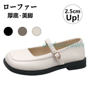 [t@[ pvX U[V[Y fB[X IbNXtH[hV[Y HC C ₷ vC ʋ ʉ ʊw w  JWAtH[}