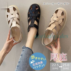 T_ fB[X T_ r[`T_ T}[ ĐV gh Xj[J[T_ ₷ Ȃ JWA V[Y