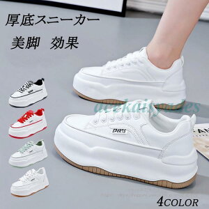 Xj[J[ fB[X C X|[cV[Y V[Y ~ h r r ₷ Ȃ ɂȂ ʋC Vv ʋ ʊw 