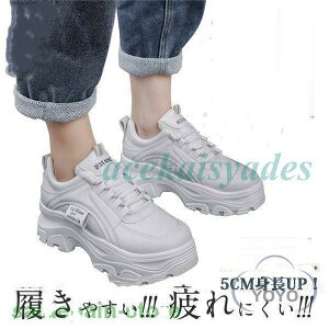 Xj[J[ fB[X   40 30  5cmgUP Ȃ V[Y {A ؍