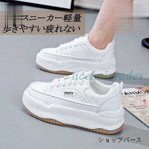 Xj[J[ fB[X C X|[cV[Y V[Y ~ h r r ₷ Ȃ ɂȂ ʋC Vv ʋ ʊw 