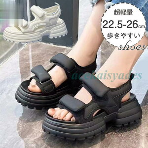 T_ fB[X X|[cT_  gAbv }WbNe[v JWA ~ y Ȃ L r ₷  