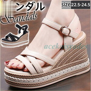 T_ fB[X V[Y EFbW\[ q[ Ȃ  Vv  t@V r 傫TCY t Ղ l