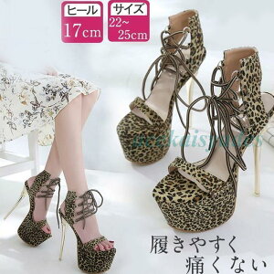 nCq[ 17cm nCq[ ^ pvX r p[eB[ 傫TCY r O qE T_ Xg[  ɂȂ