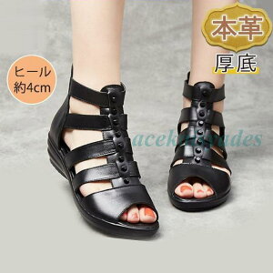 T_ {v _炩 xN fB[X  EFbW EFbW\[ ʋ ₷ V[Y I[vg@  r C RtH[g