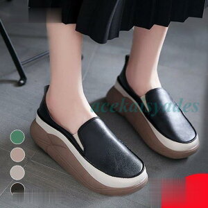  Xb| tbgV[Y C PU  ؍t@bV