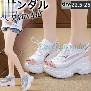 Xj[J[T_ fB[X  X|[cT_ T_ Ȃ bV ʋC y ؍ JWA ₷ r WMO