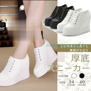 Xj[J[ fB[X PU  Vv  Cq[ [XAbvV[Y ҂ݏグ ʊw ʋ r JWAV[Y S2F 傫TCY