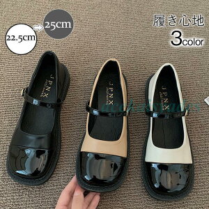 [t@[ fB[X ~hq[ XNGAgD Xgbv g  JWA ~  RtH[g ʊw w  