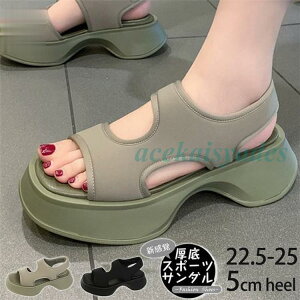 T_ fB[X  r[`T_ nCq[ ߃q[ r  ₷  Ȃ V[Y IV 