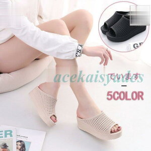 T_ fB[X ₷ t 5F r V[Y p Xbp ㎿ ɂ ɋ J̓ r[` EFbW