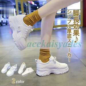 Xj[J[ fB[X V[Y _bg JWA  x[W C Vv Xj[J[ ₷