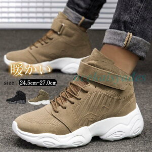 Xm[u[c Xm[V[Y Y hu[c C  SC Xj[J[ {A nCJbg ۉ g ƌC N @\ Ɨp