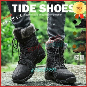 Xm[V[YYfB[XXm[u[cCyhh̖ȌC~pCNђʋΒʊwphphu[c