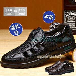 bVV[Y Y hCo[ vC {v t rWlXV[Y T_ JWA AEghA EH[LO Ȃ 芴 Vv