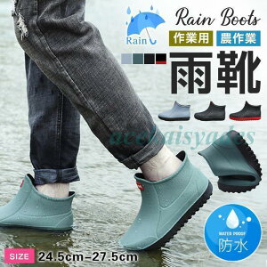 CV[Y Y Cu[c t JC V[gu[c ʋ Ɨp _ | o[u[c J  JC ₷ ɂ