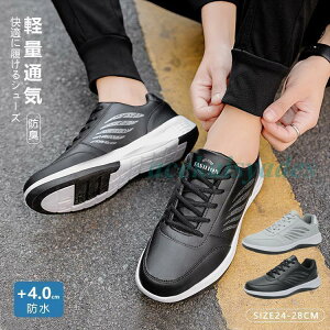 Xj[J[ Y StV[Y ʋC y jOV[Y X|[c Xb|  EH[LOV[Y JWAV[Y ʊwC J̓ ̓