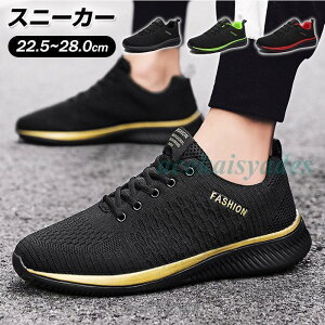 jOV[Y Y fB[X Xj[J[ EH[LOV[Y C  ^C jO V[Y Ȃ y ʊw ʋ 