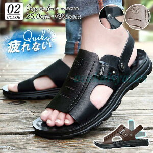 T_ Y X|[cT_ JWA ʋC  y Ȃ  C am ̓ AEghA ɂȂ  