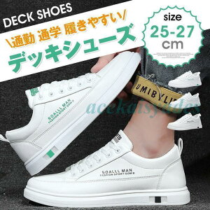 Xj[J[ Y zCg tFCNU[  V[Y fbLV[Y [Jbg JWAV[Y C ʋ