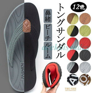 gOT_ Y fB[X @T_ r[`T_ T_ r[` [V[Y h  JWA C