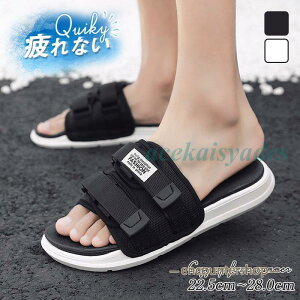 X|[cT_ T_  fB[X Y jp  y  ₷ n Xb| C ɂ 